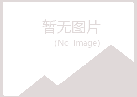 东川区残缺能源有限公司